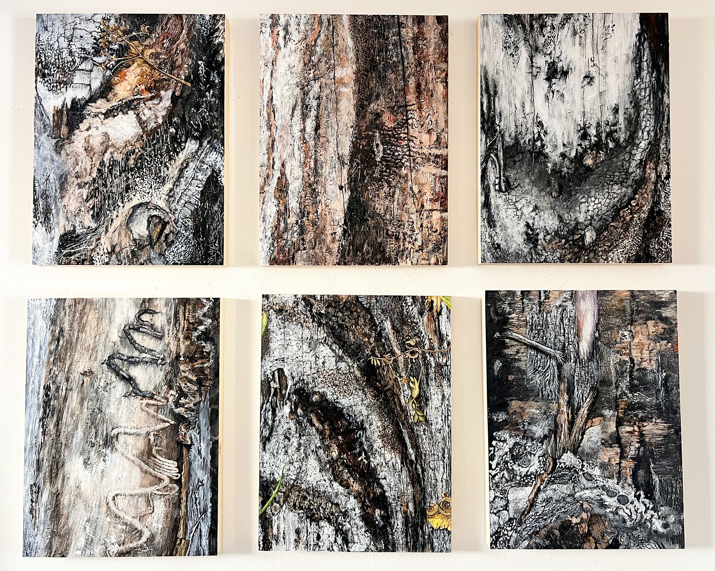 Wood Series 6 acrylic paintings on wood each 24 × 18 inches