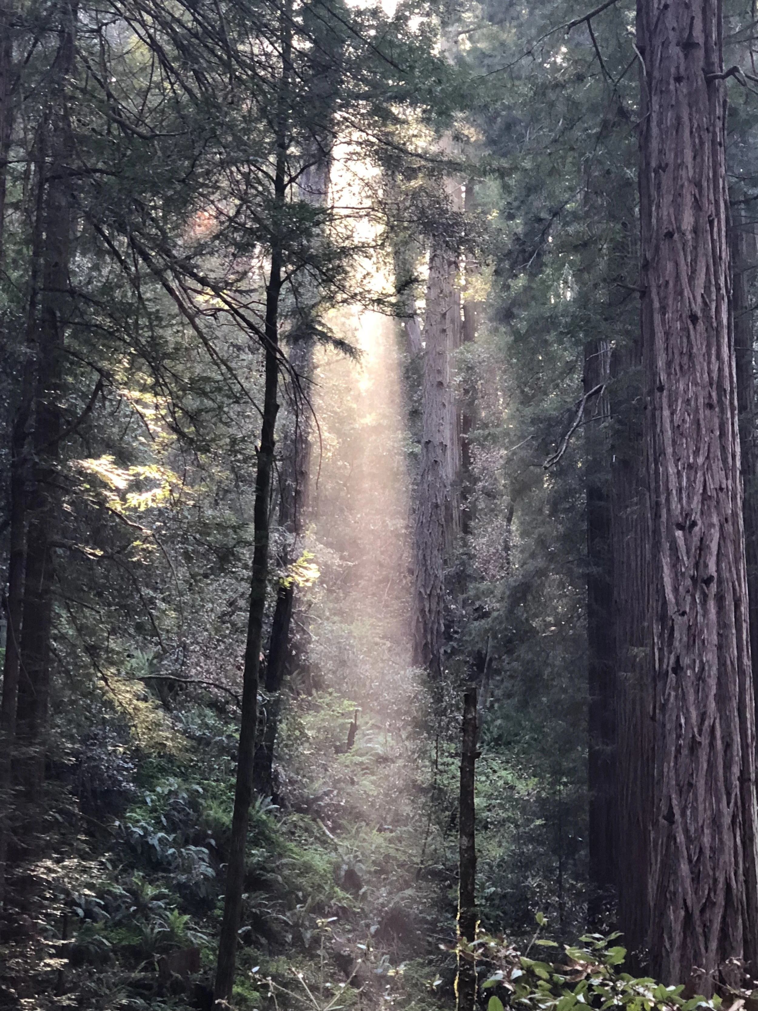 Embracing Intuition 3