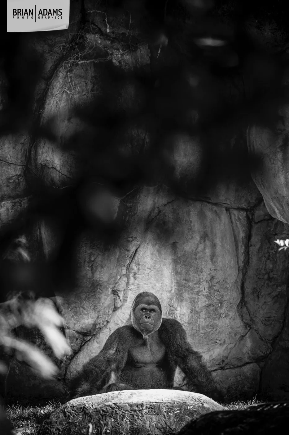 011-tampa-orlando-fine-art-photographer-brian-adams-photographics.jpg