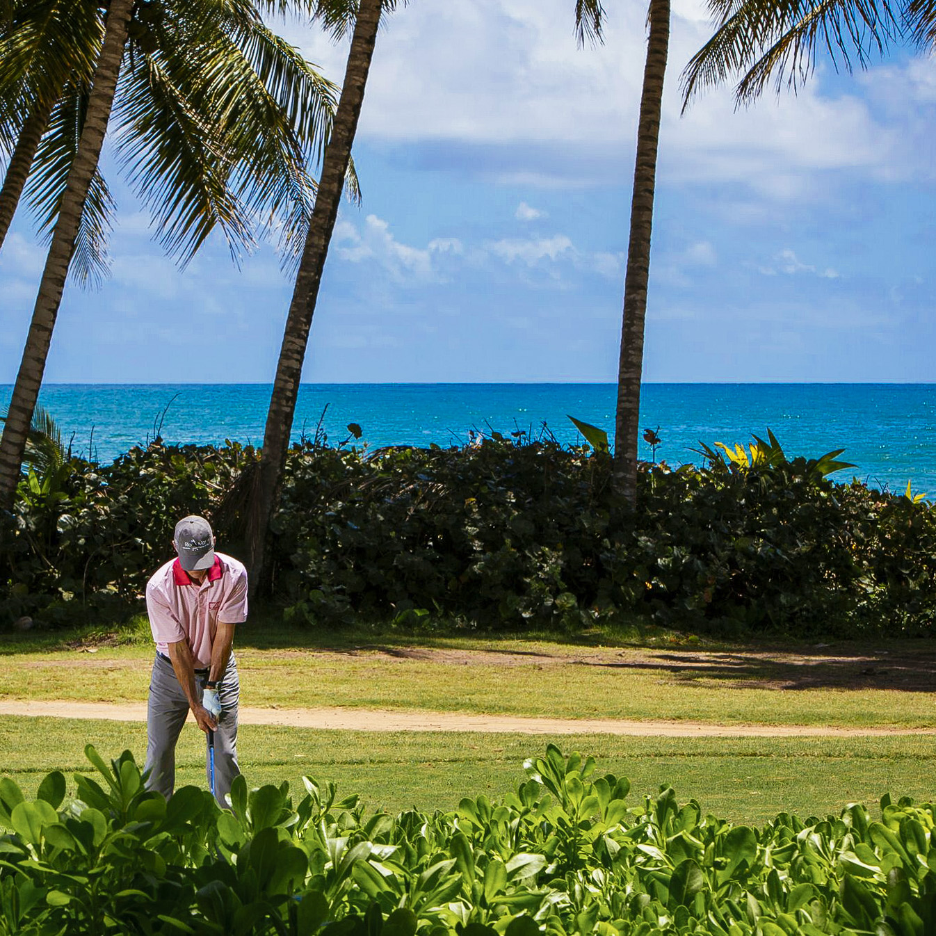 183_bcv_wyndham_rio_mar_by_brianadamsphoto.com_preview_1-small.jpg