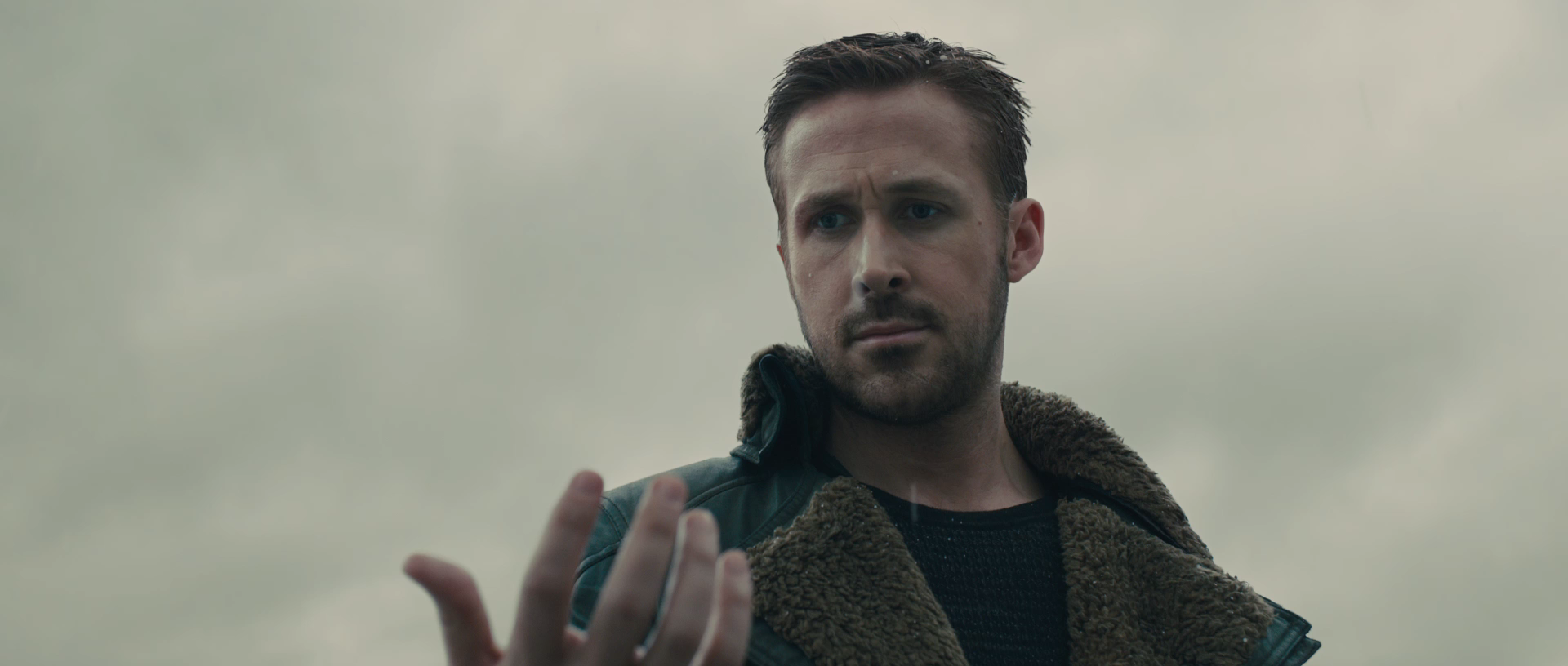 BD2049_26.png