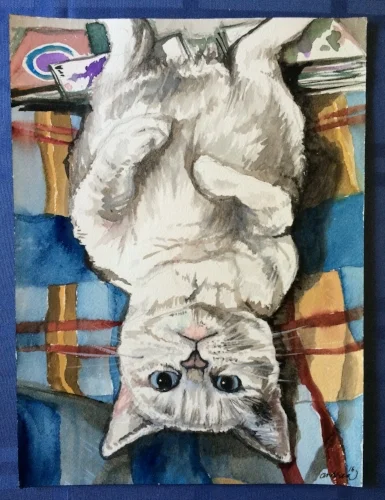 Upside Down Petunia