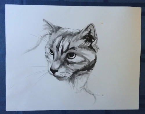 Petunia