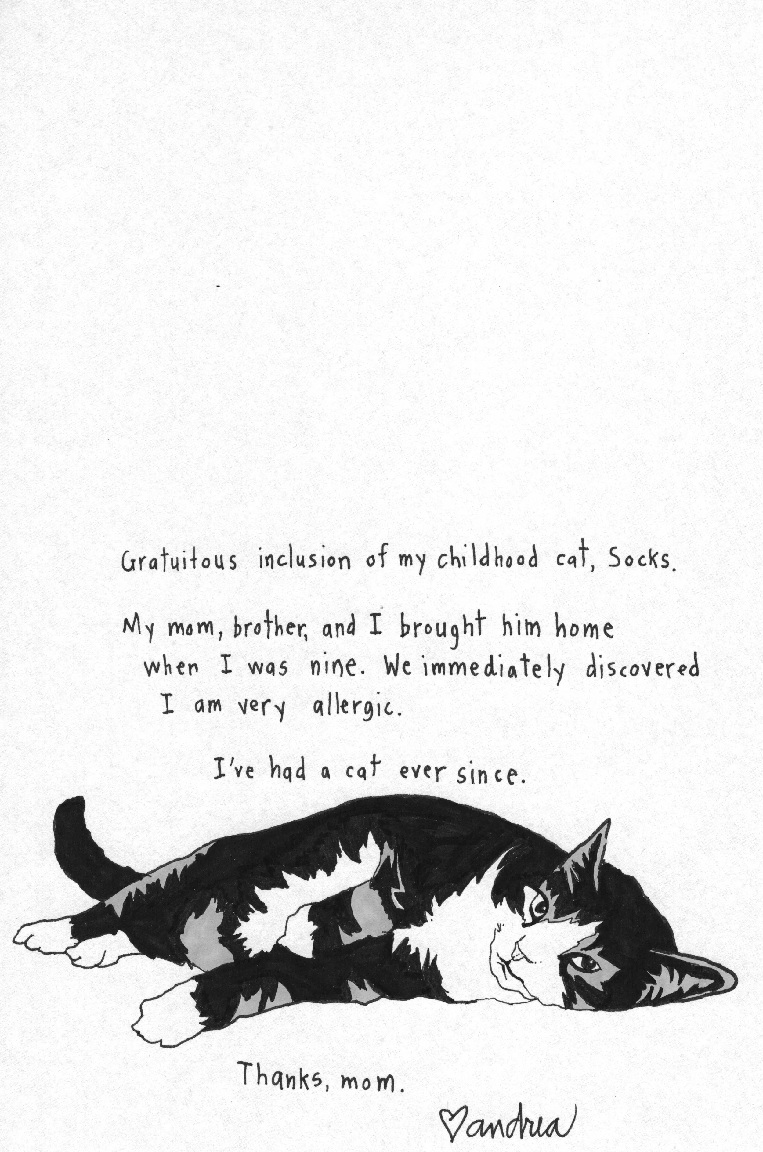 Back cover.jpeg