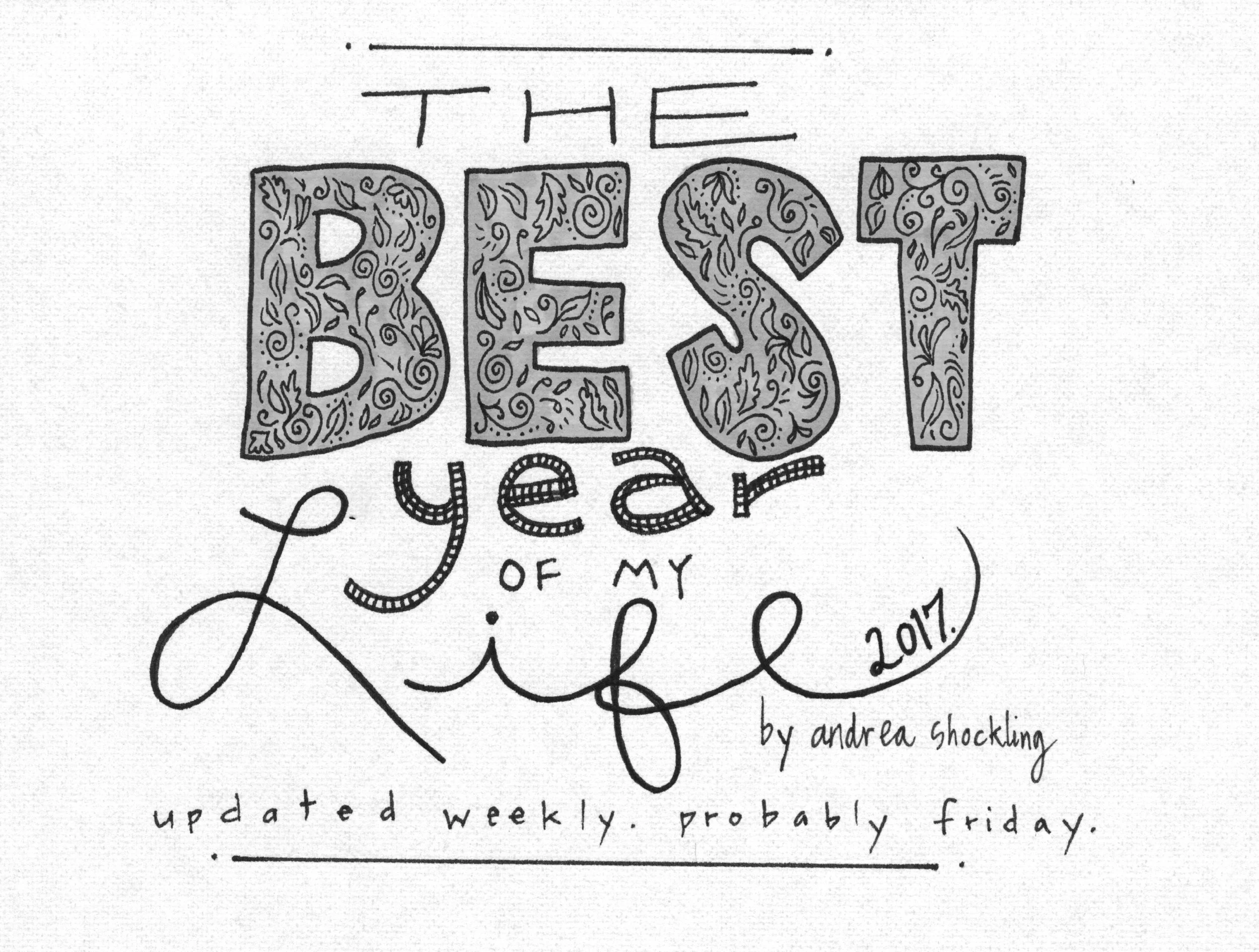 The Best Year Of My Life Andrea Leigh Shockling