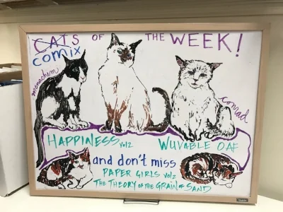 Cats Cats Cats, 2016.