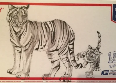 Tigers