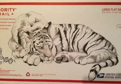 Sleeping Tiger