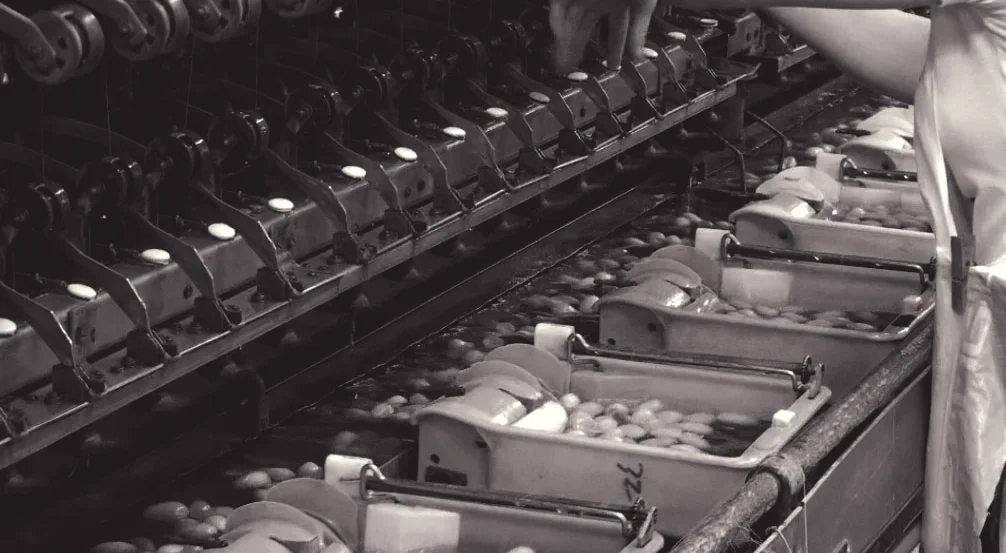  8. The cocoons are unwound to remove the silk. 