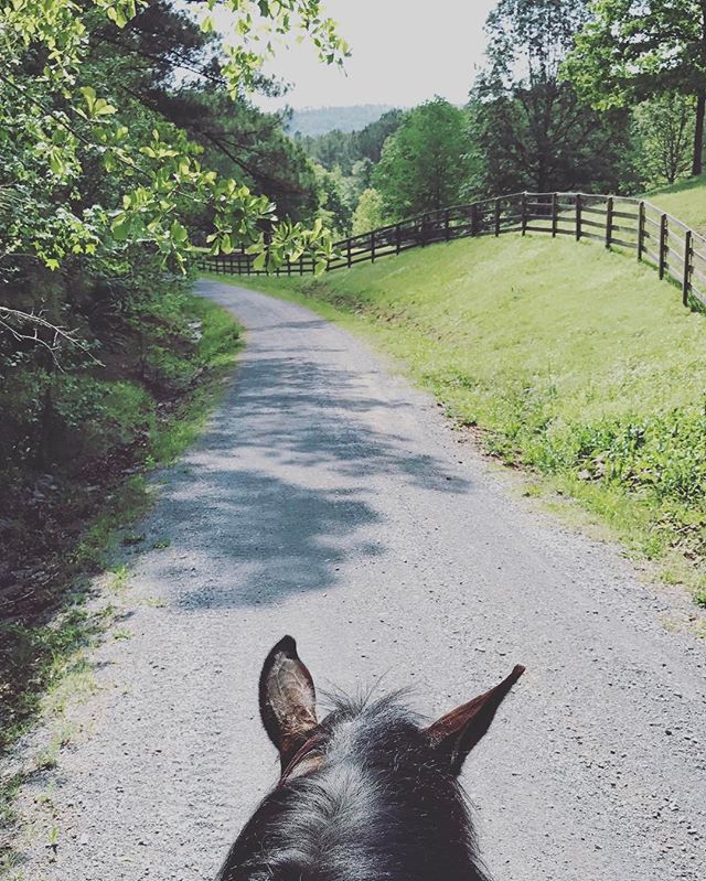 Trail ride Tuesdays 😀