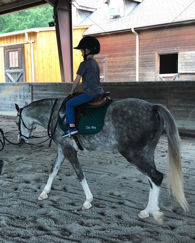 Clay Bay and Tiny Tide #thecutestboys #firstlesson ❤❤