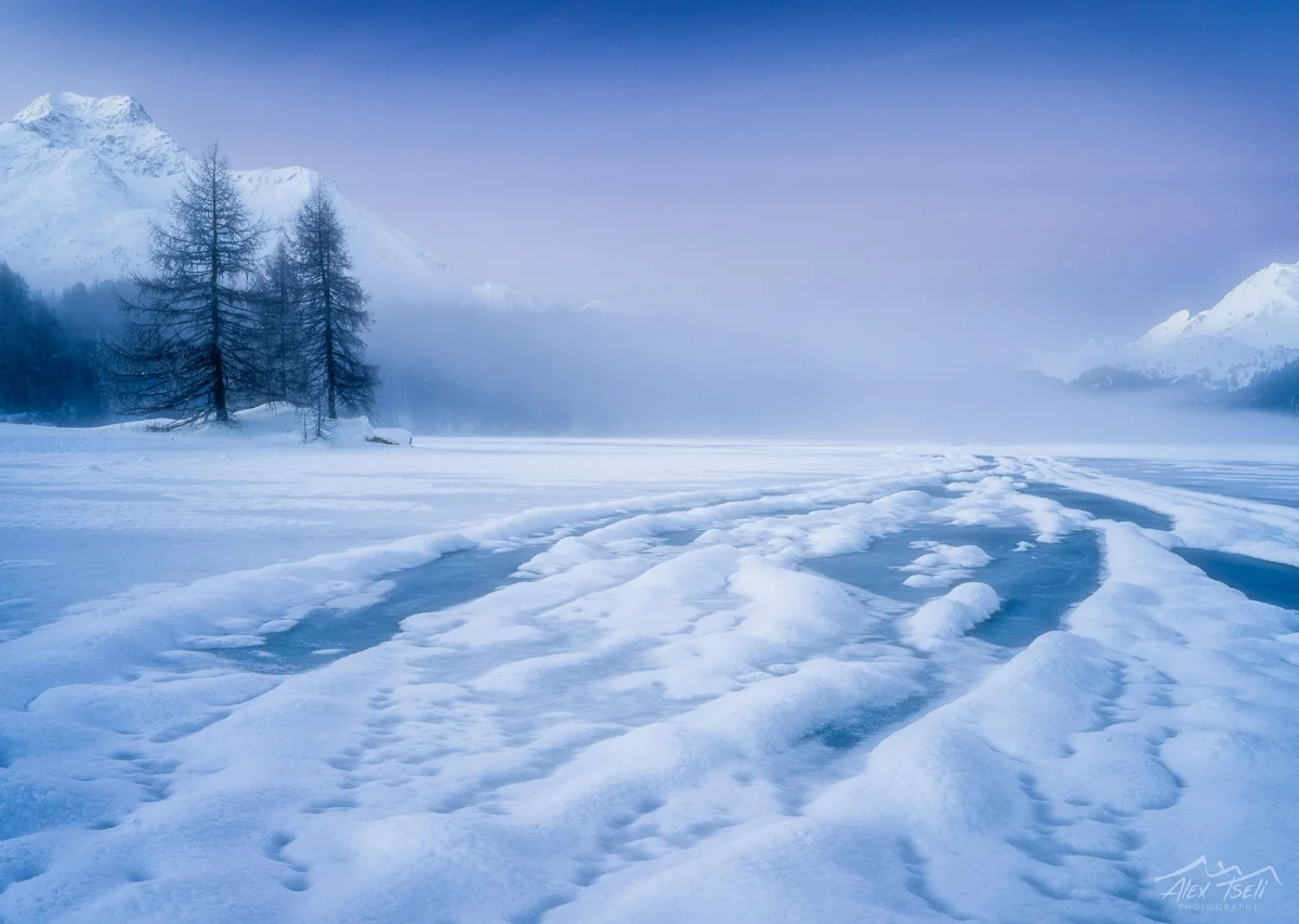 B0001917-Edit.jpg