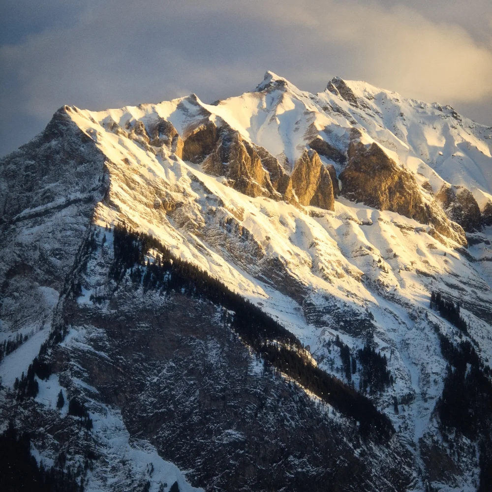 IMG_5594-Edit.jpg