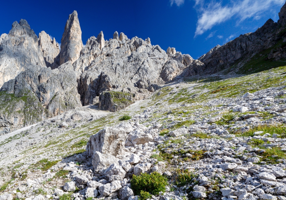 7Z4B7318-Pano.jpg