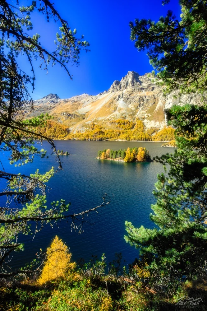 5D8A2002-Edit.jpg
