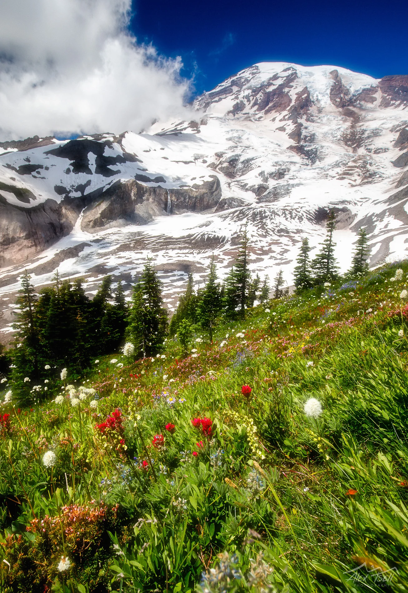 5D8A9697-HDR-Edit.jpg