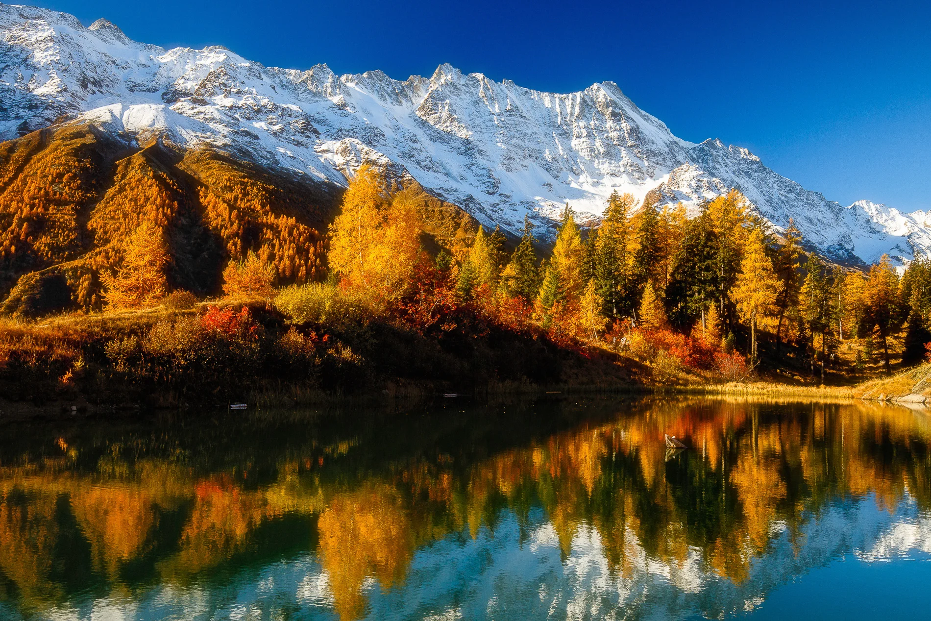7Z4B1716-Edit.jpg