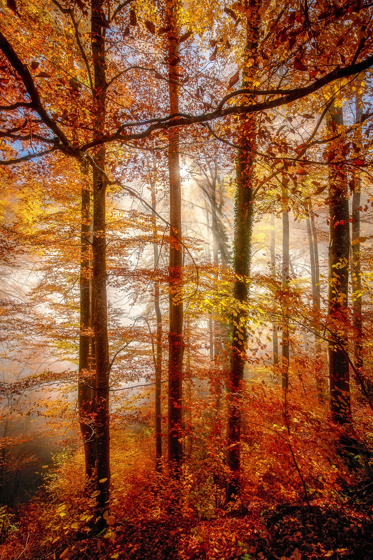7Z4B4126-Edit.jpg