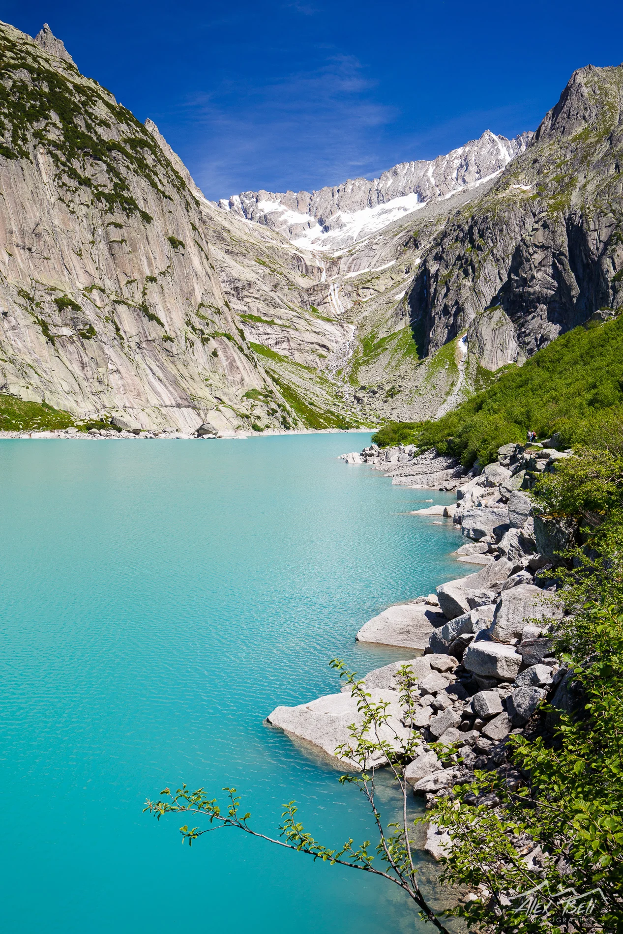 7Z4B5187-Edit.jpg