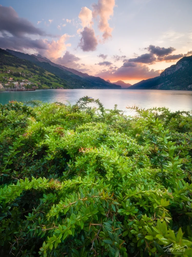B0005647-HDR-Edit.jpg