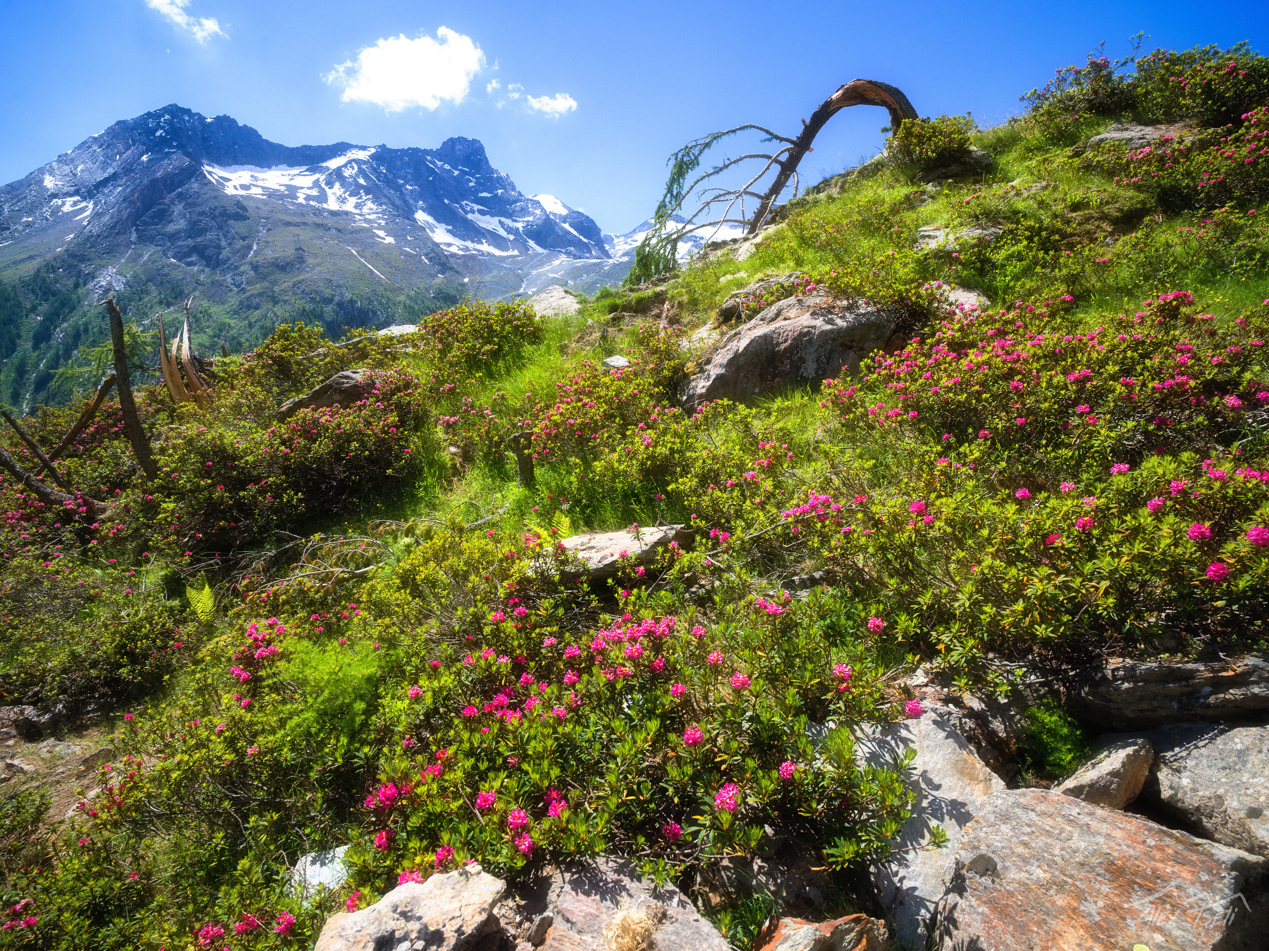B0006139-Edit.jpg