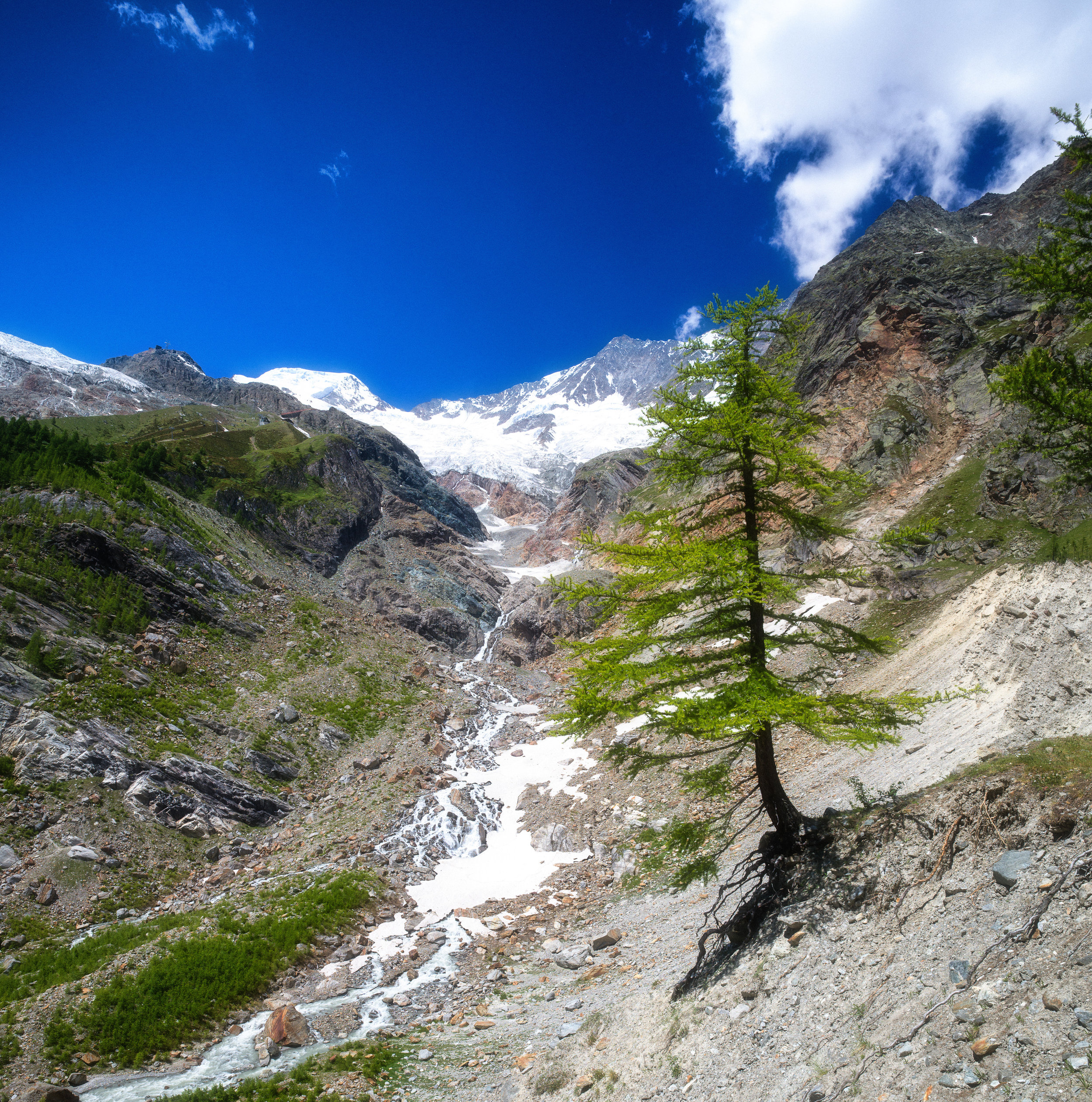 B0006140-Edit.jpg
