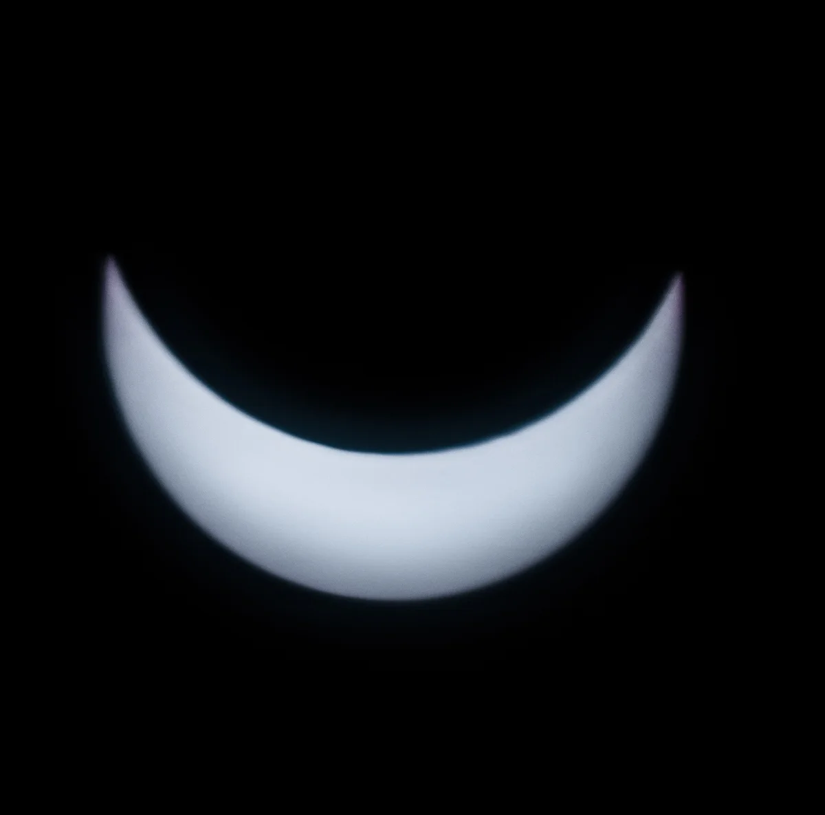 7Z4B4536.jpg