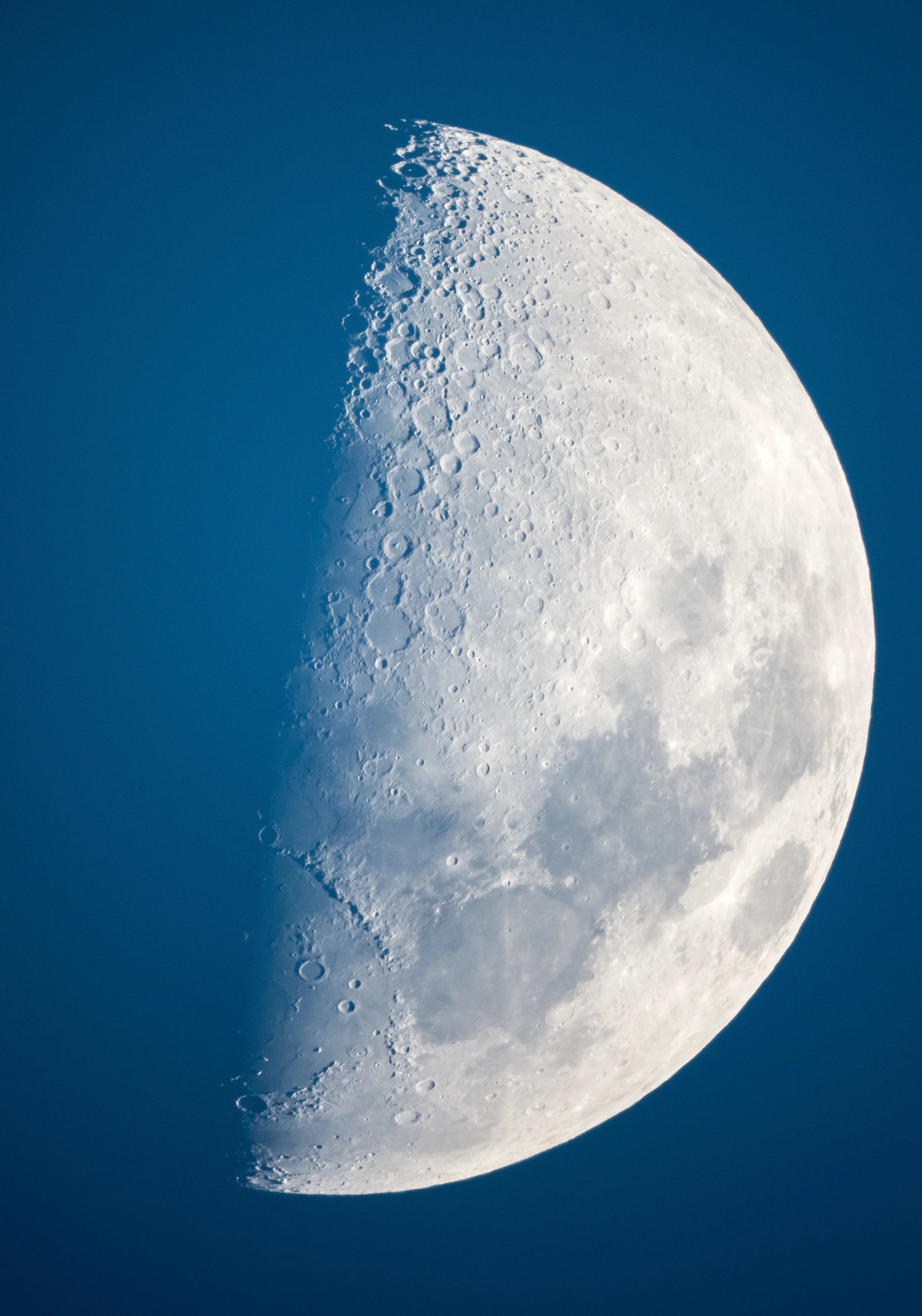 50-7Z4B9303.jpg