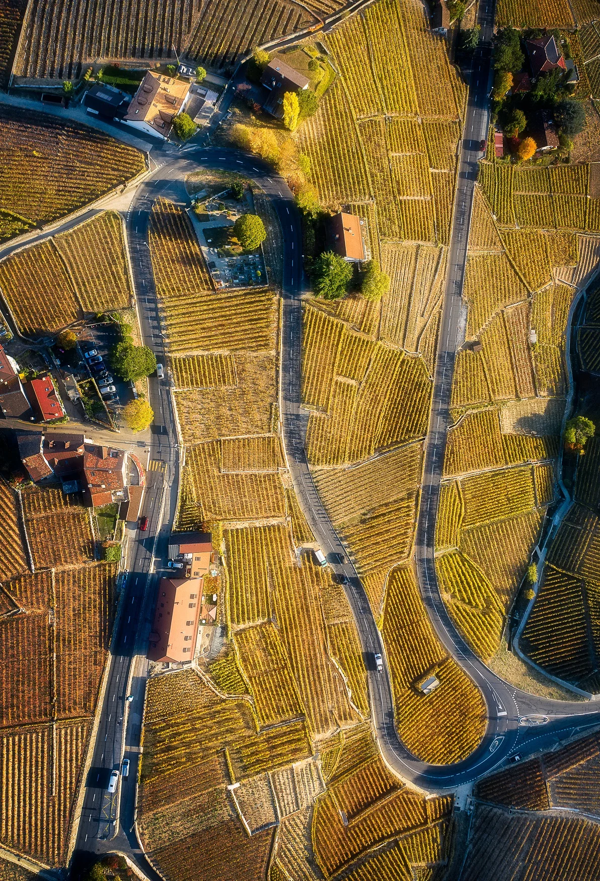 DJI_0006-Edit.jpg