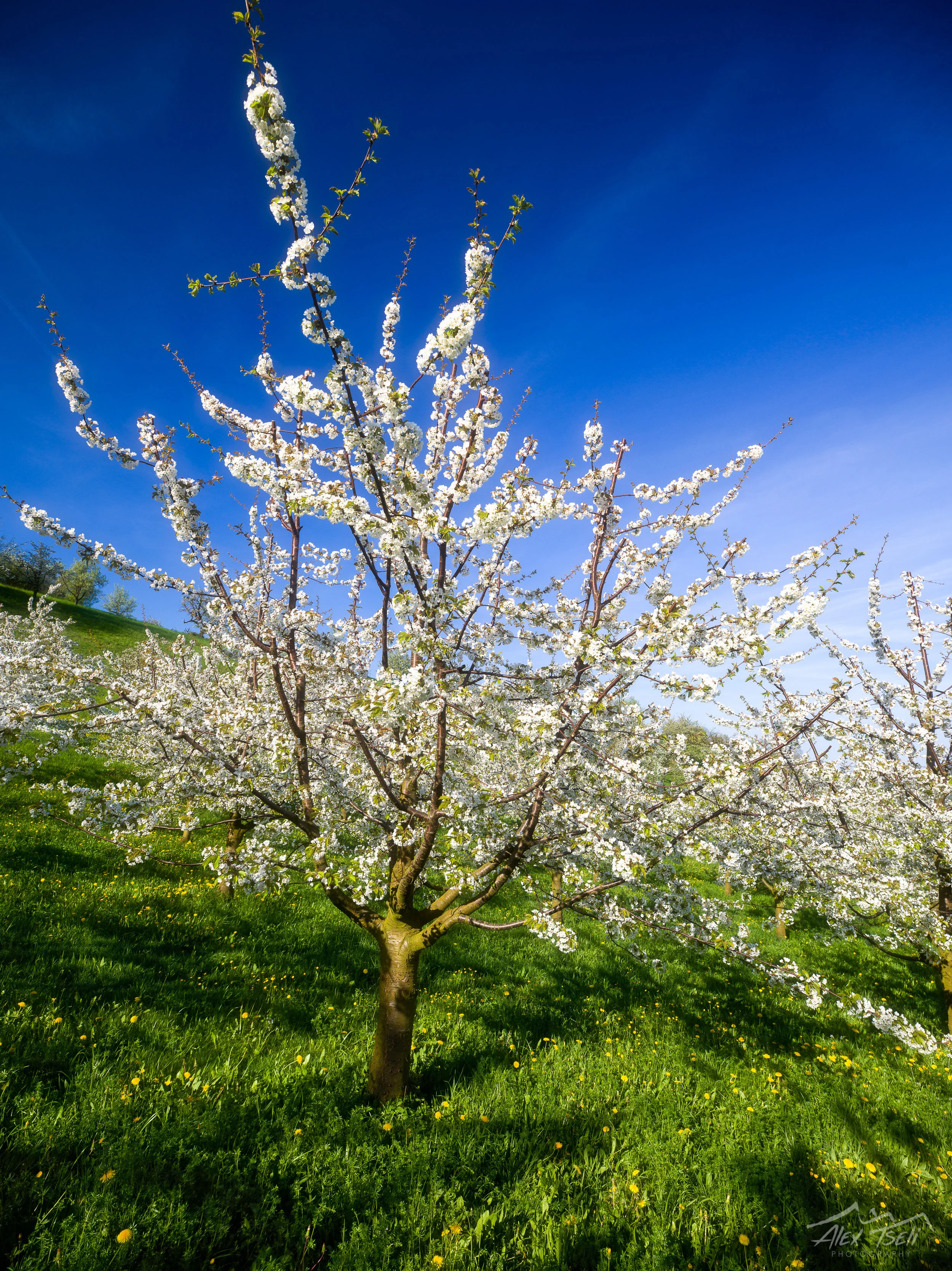 B0005275-Edit.jpg
