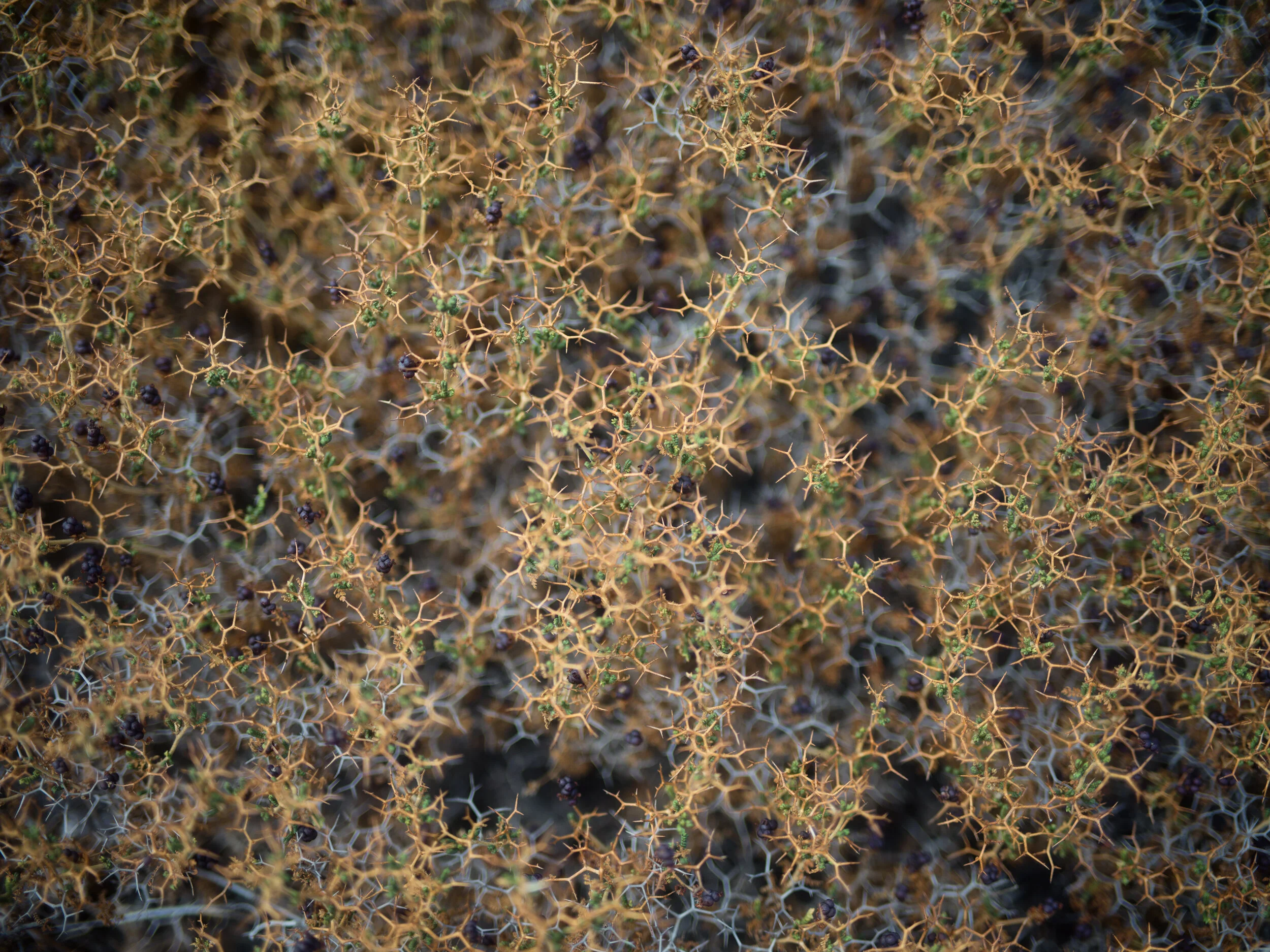 B0024494-Edit.jpg