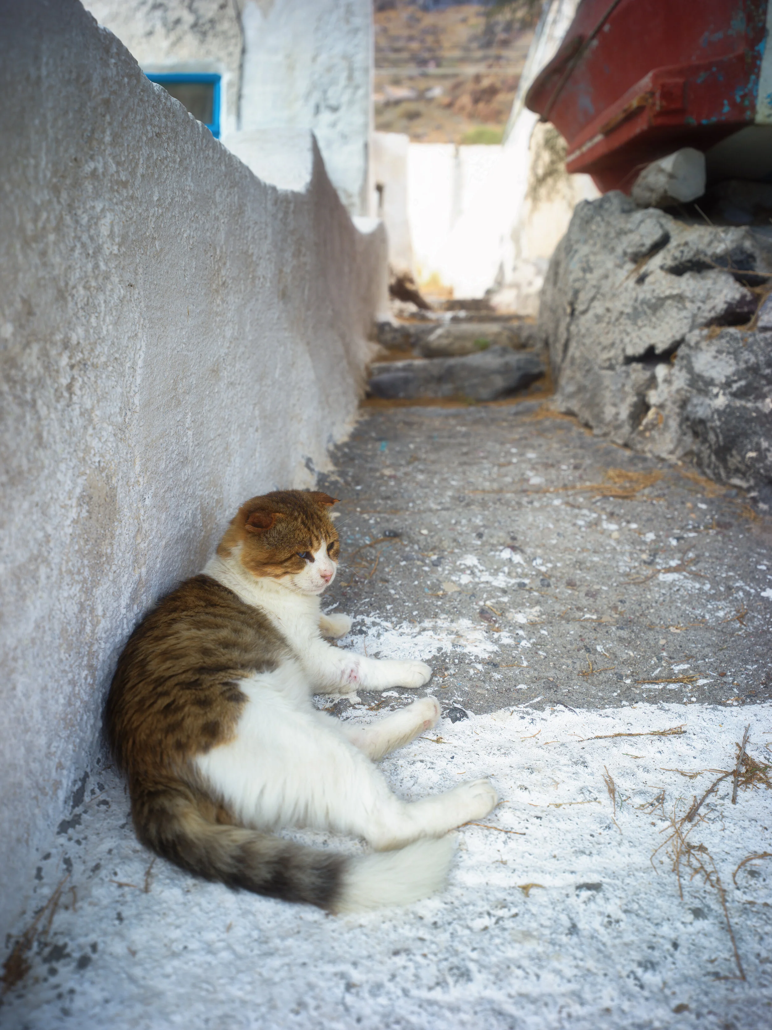 B0024660-Edit.jpg