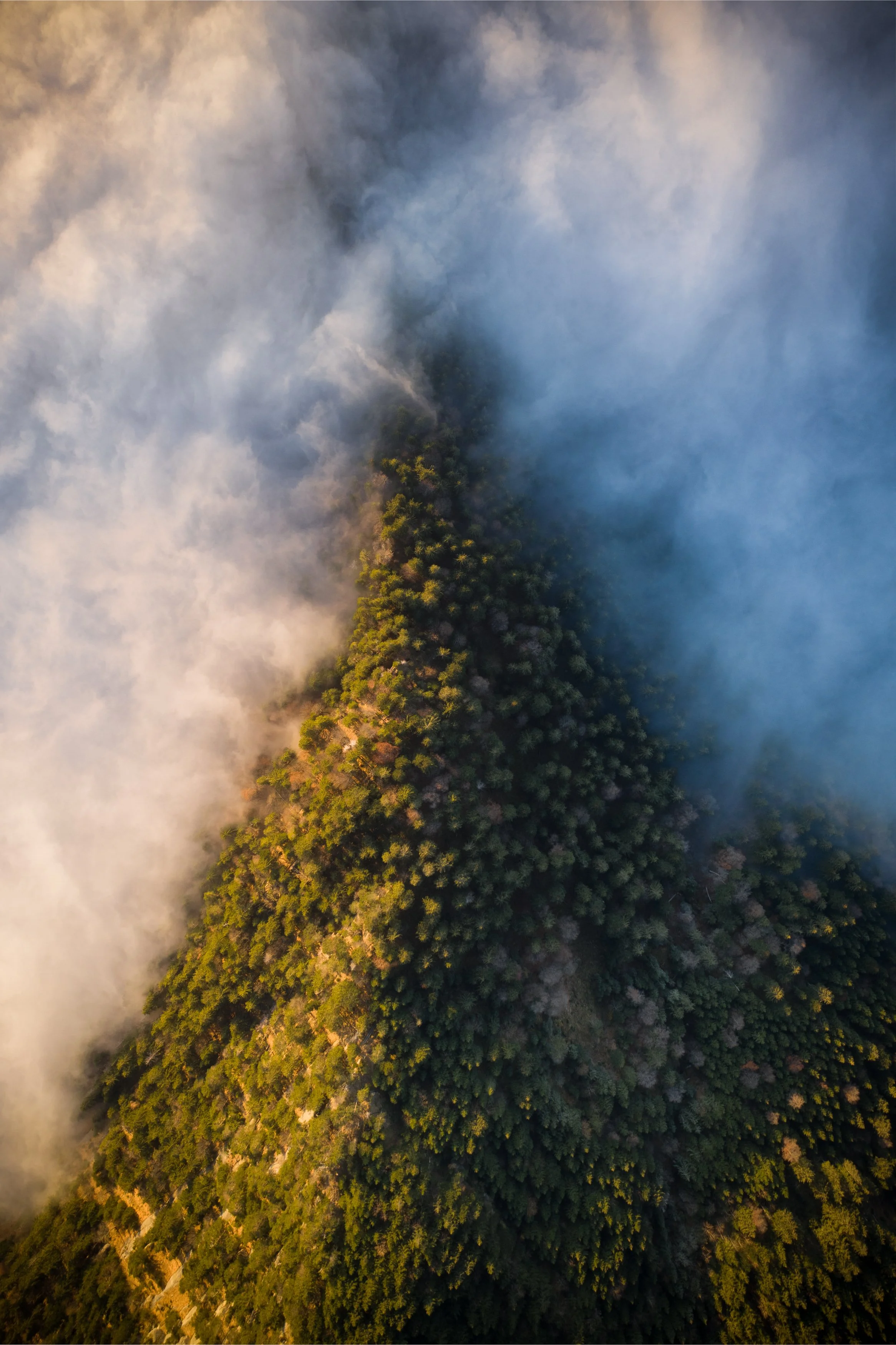 DJI_0168-HDR-Edit.jpg