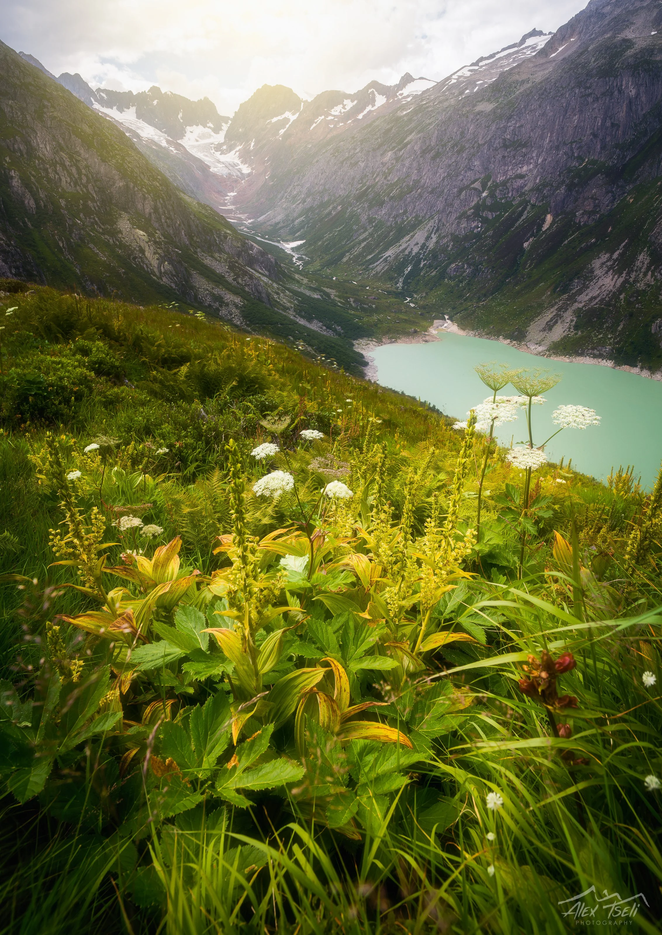 B0007203-Edit.jpg