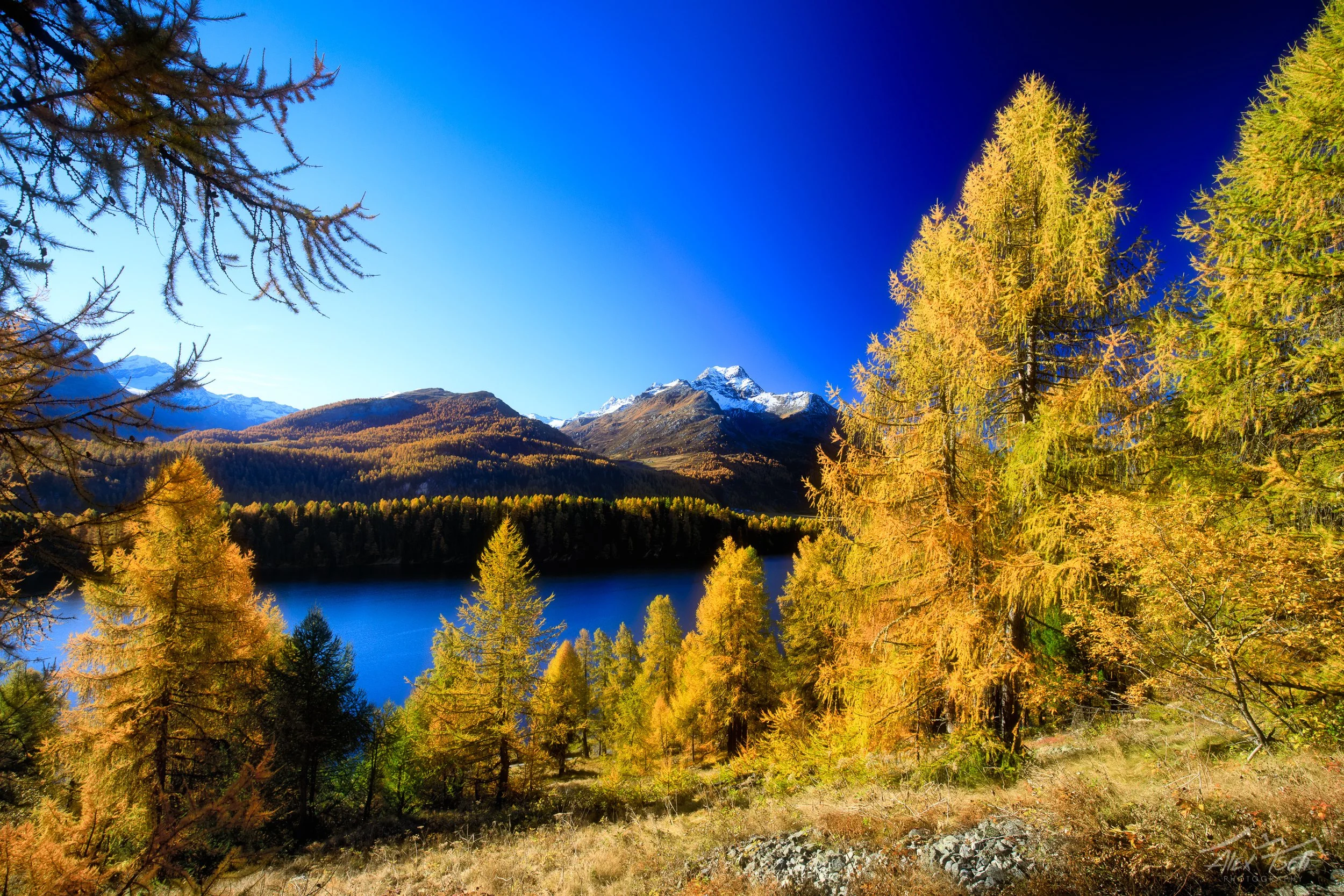 5D8A1714-Edit.jpg