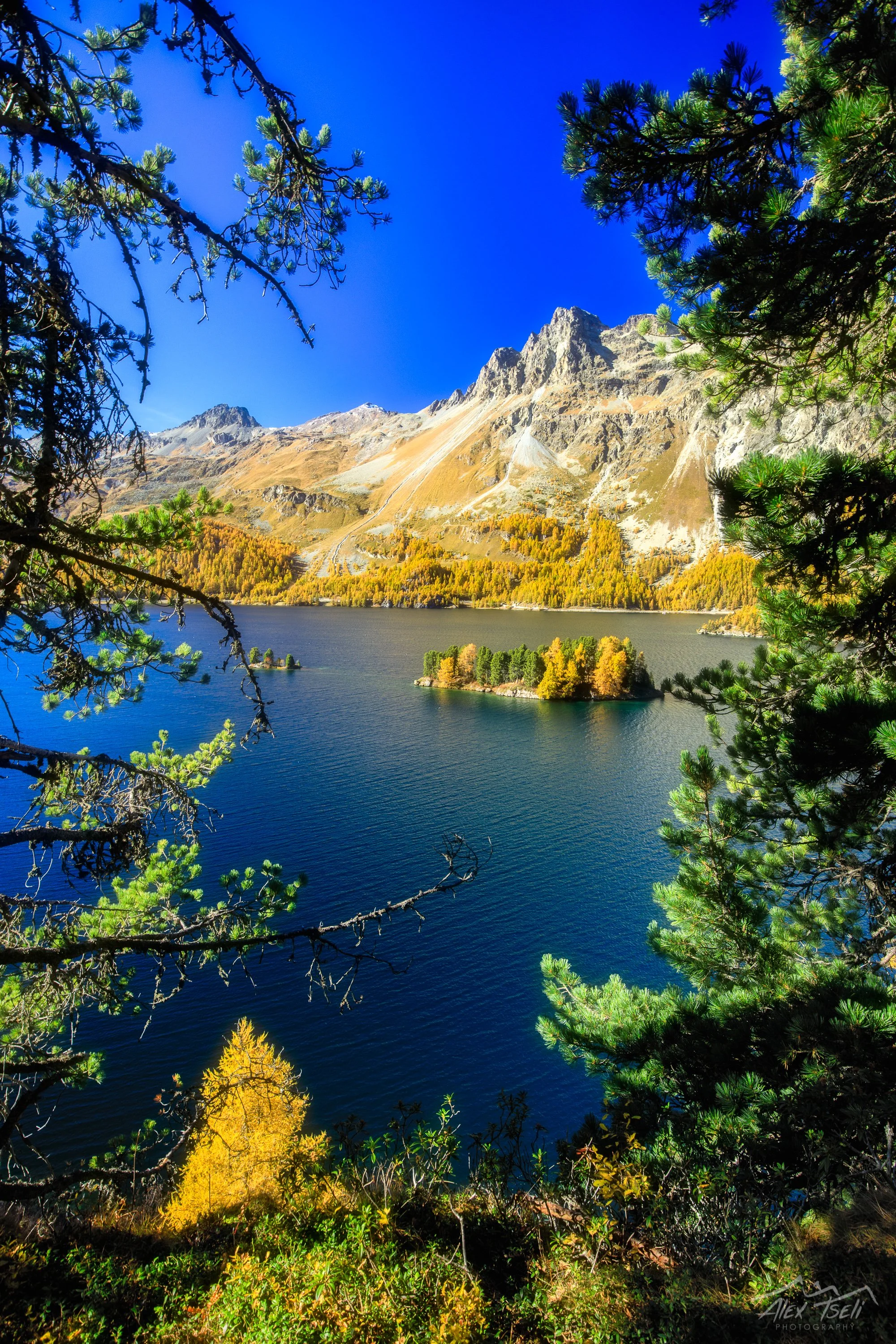5D8A2002-Edit.jpg