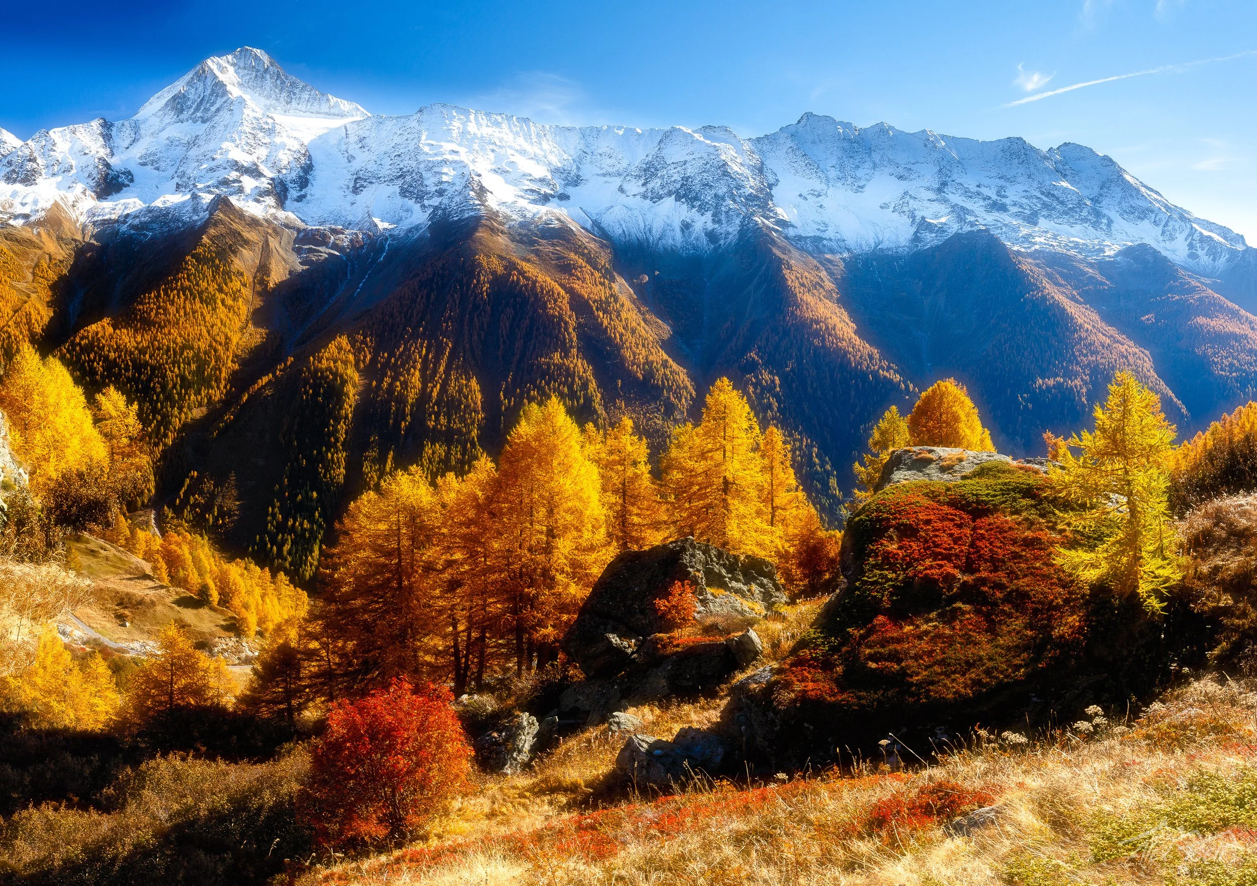 7Z4B1550-Pano-Edit.jpg