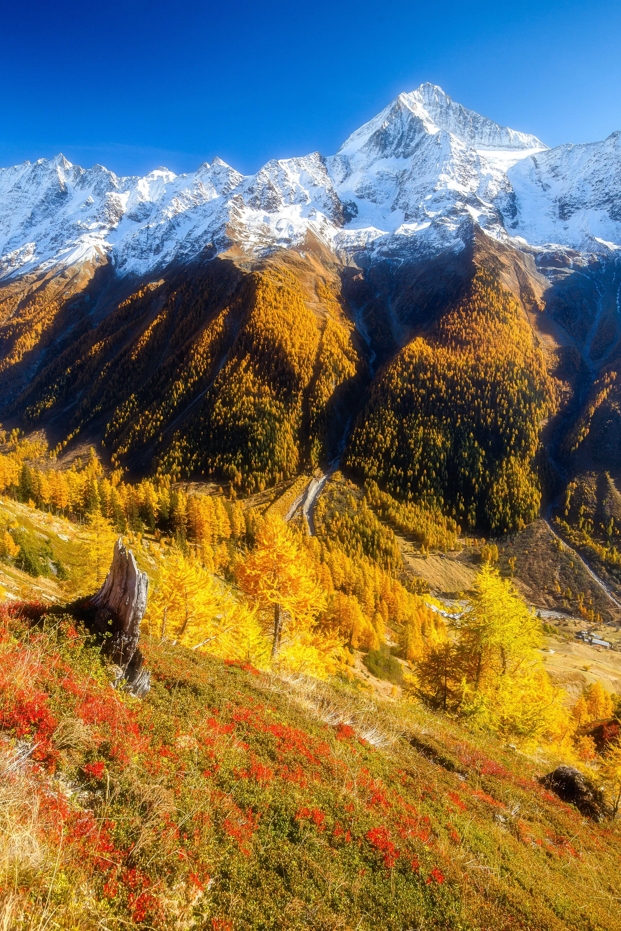 7Z4B1576-Edit.jpg