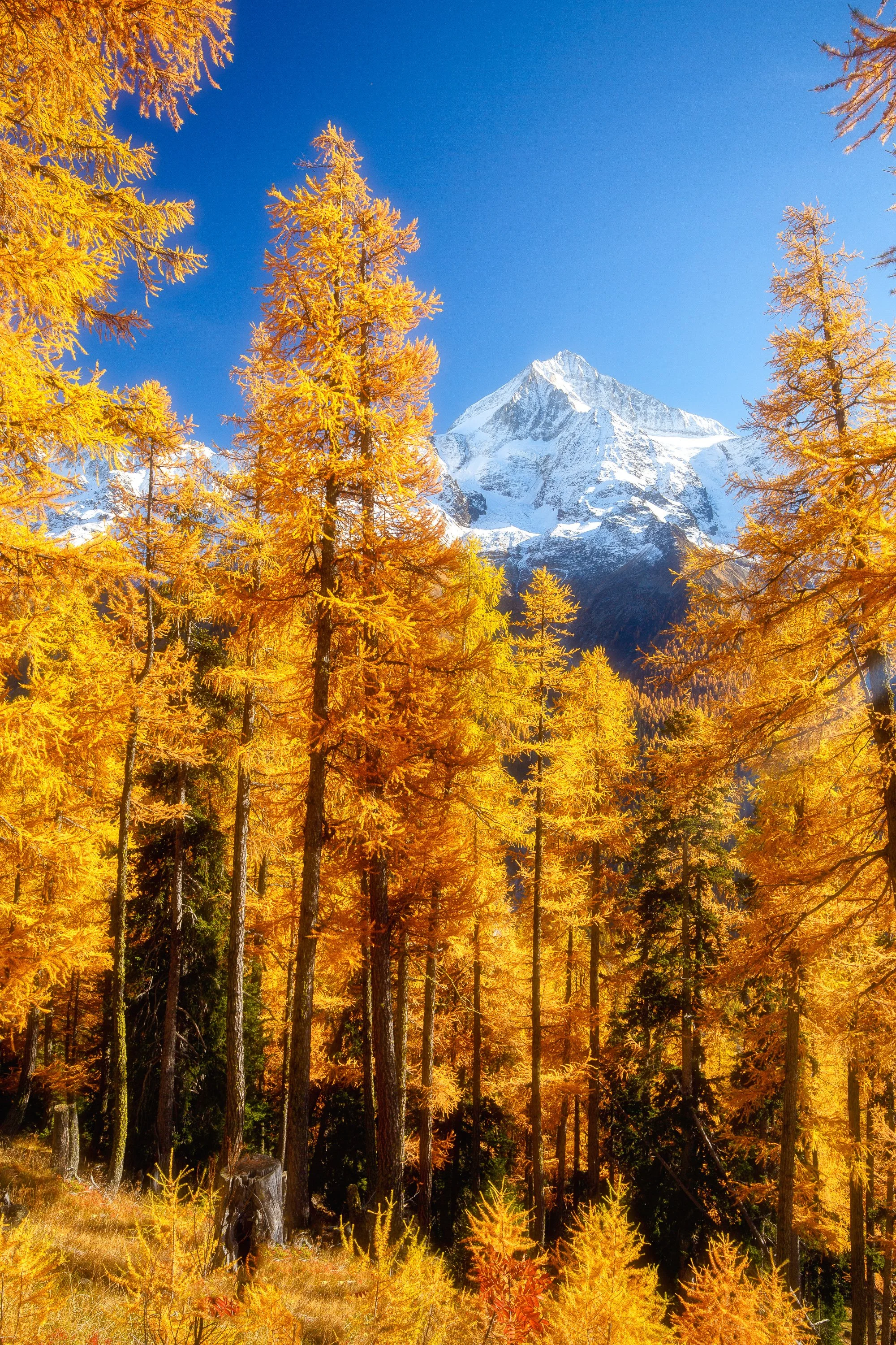 7Z4B1588-Edit.jpg