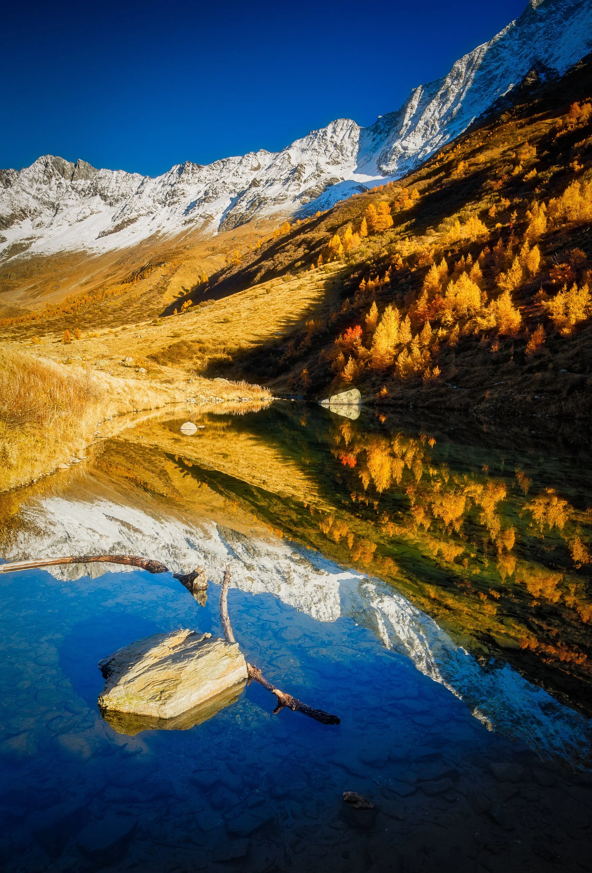 7Z4B1792-Edit.jpg