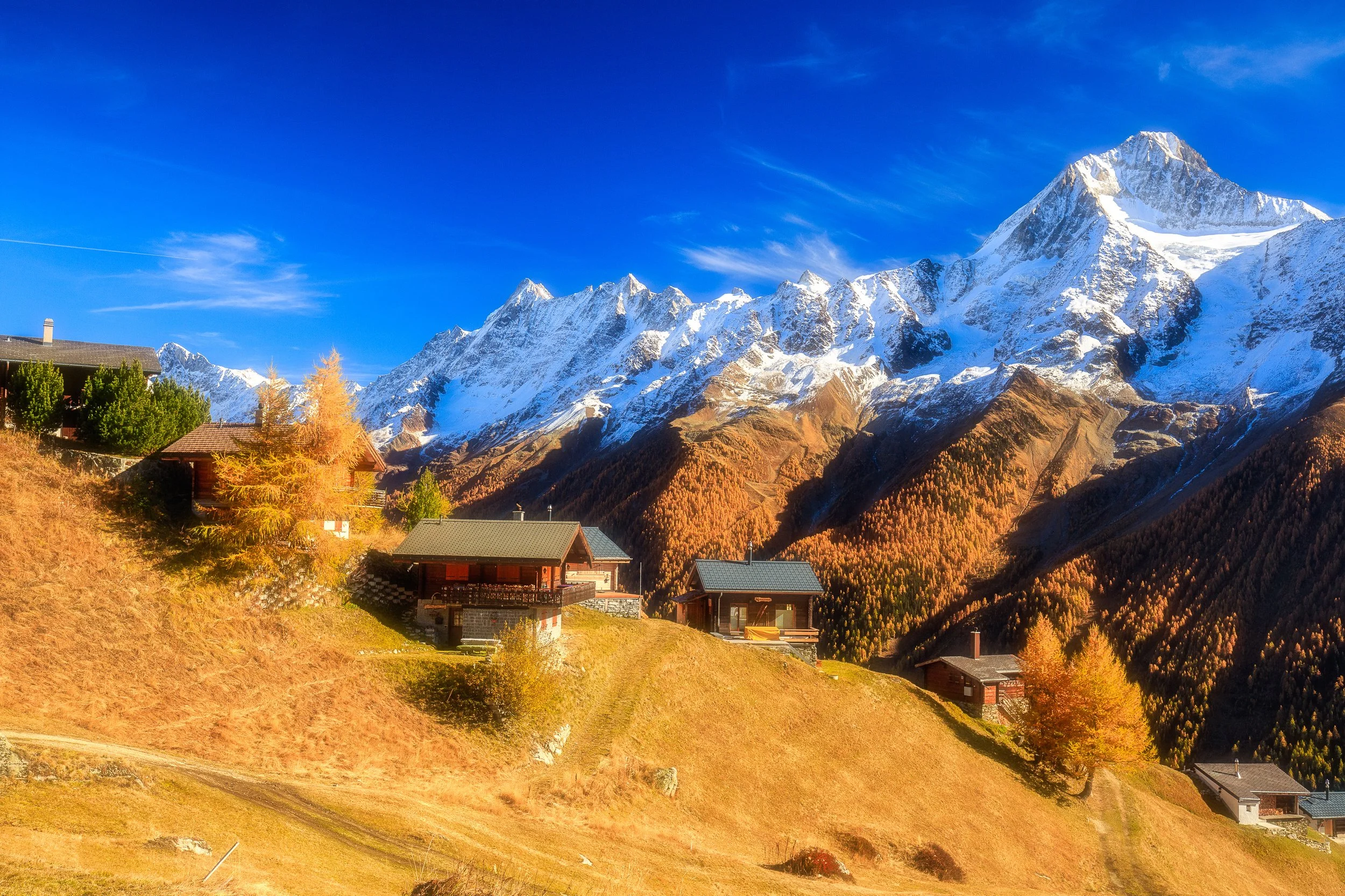 7Z4B1531-Edit.jpg