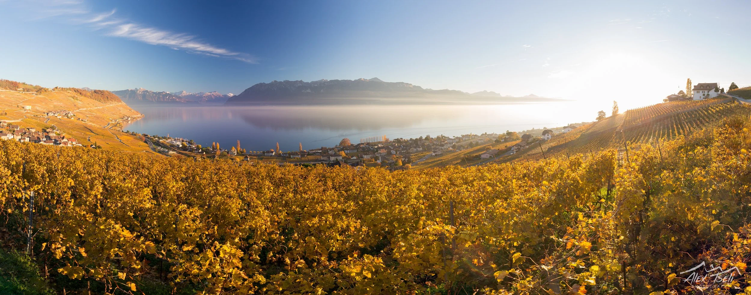 7Z4B4430-Pano-Edit.jpg