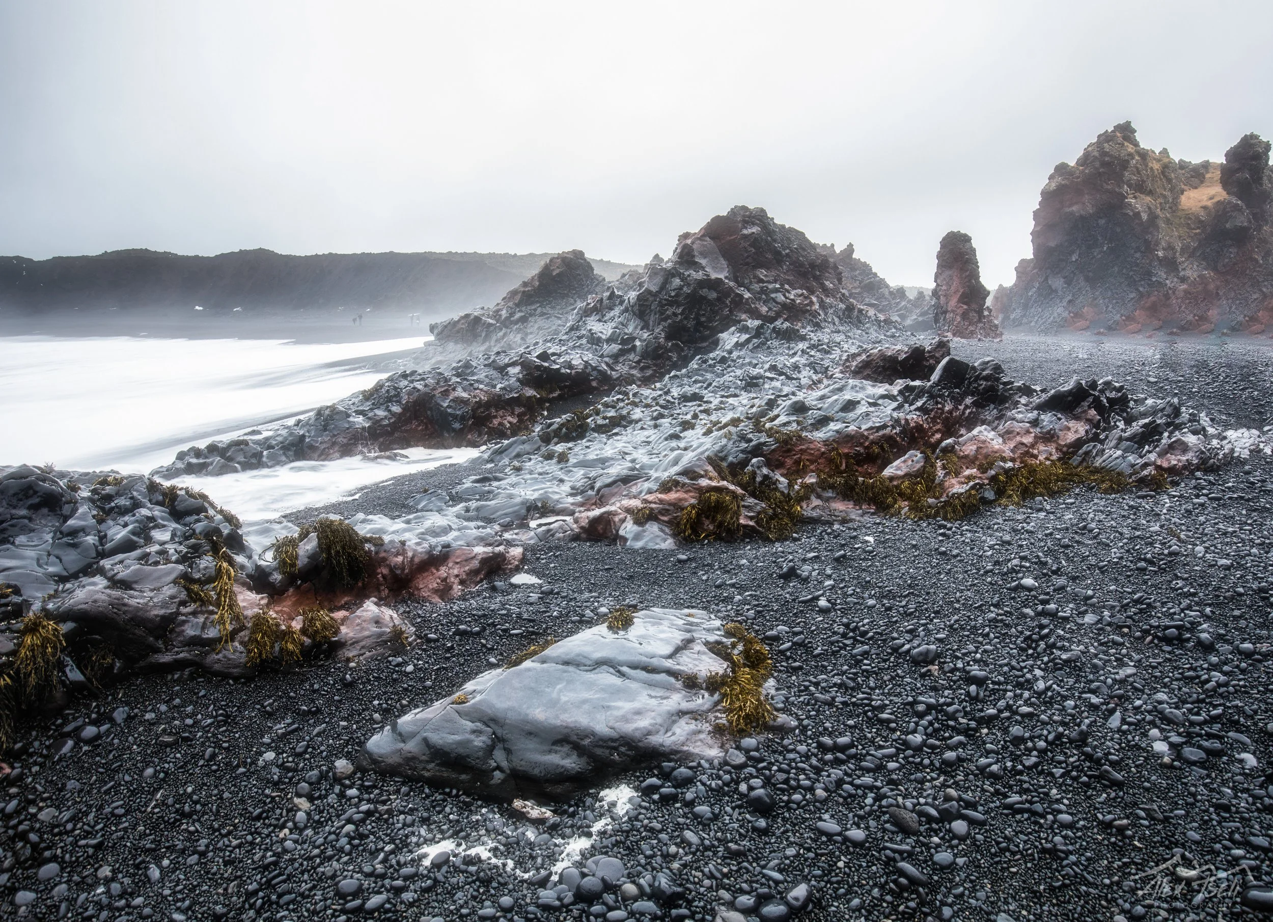 5D8A3799-Edit.jpg
