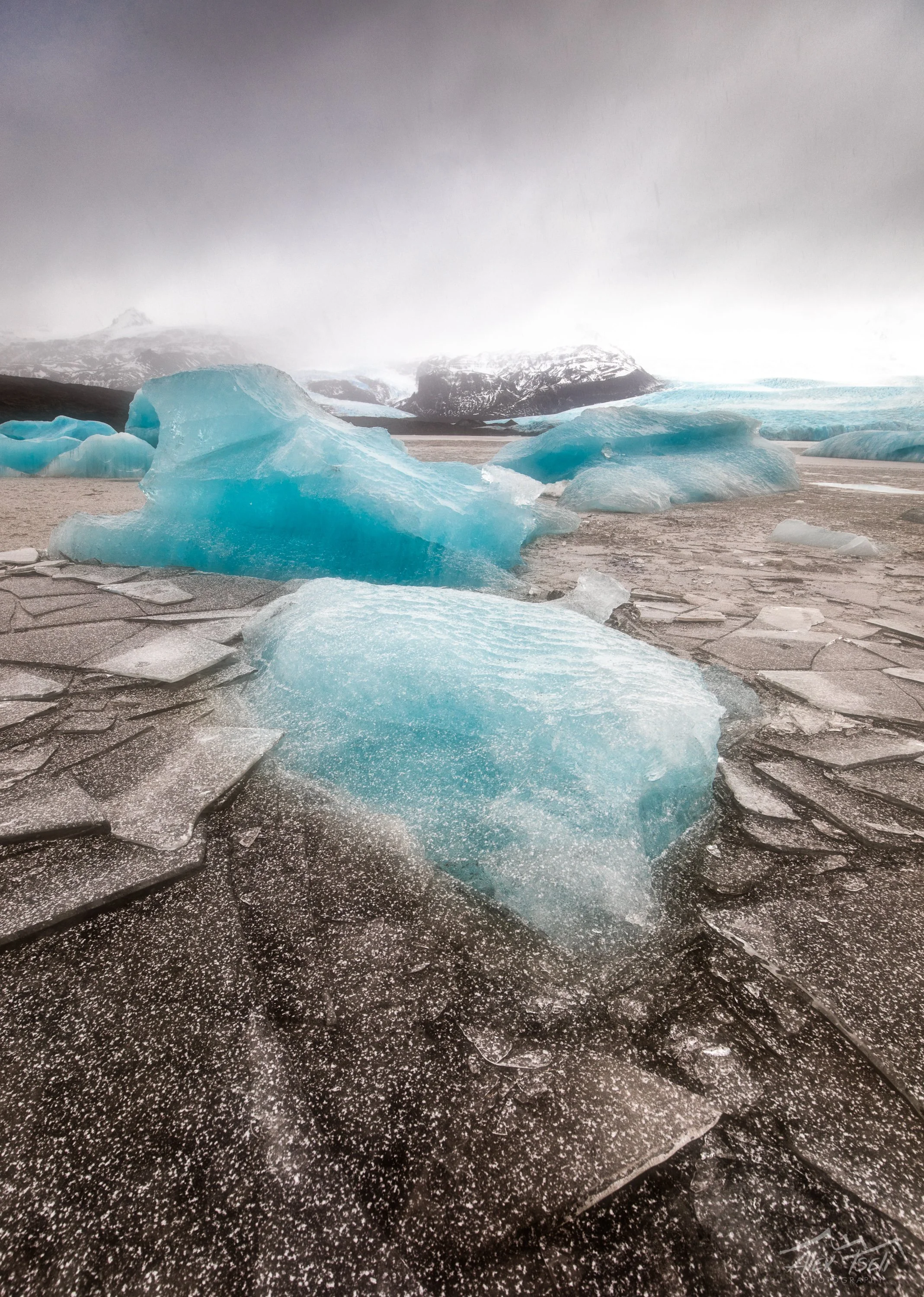 5D8A4355-Edit.jpg