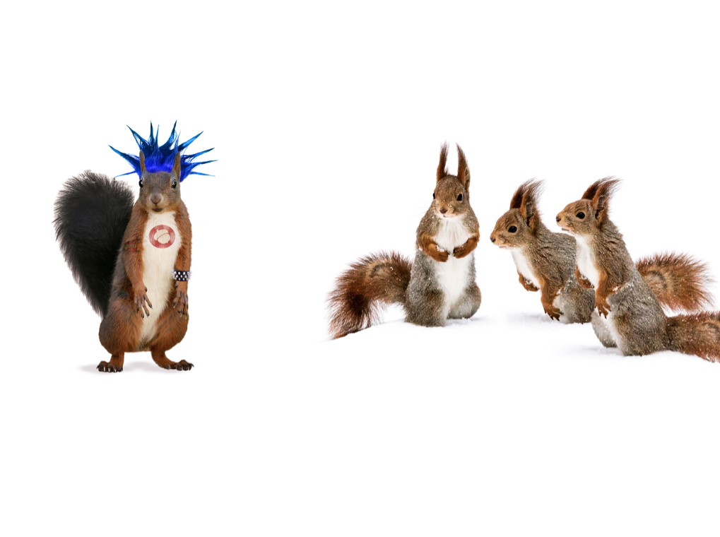 Screen Shot 2021-08-10 at 8.49.02 PM.png