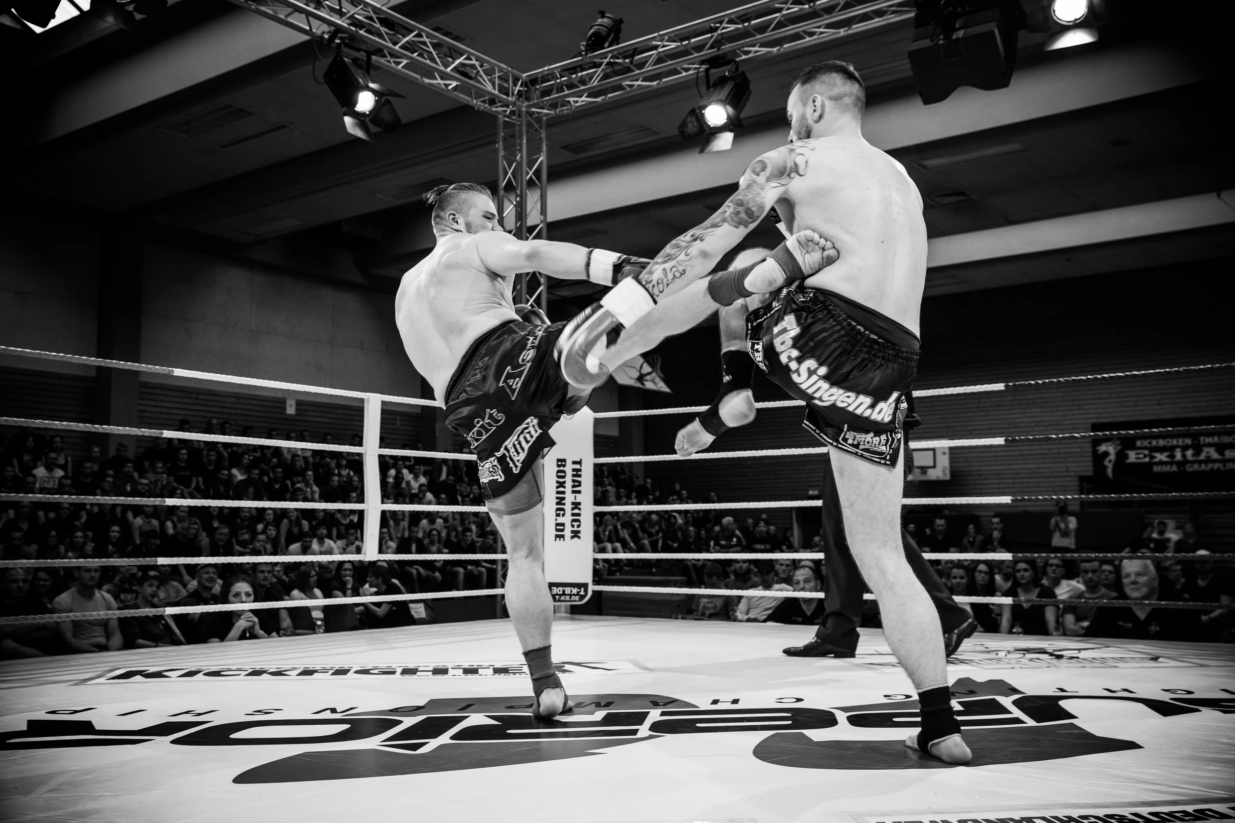 20160611-2A8A6677.jpg