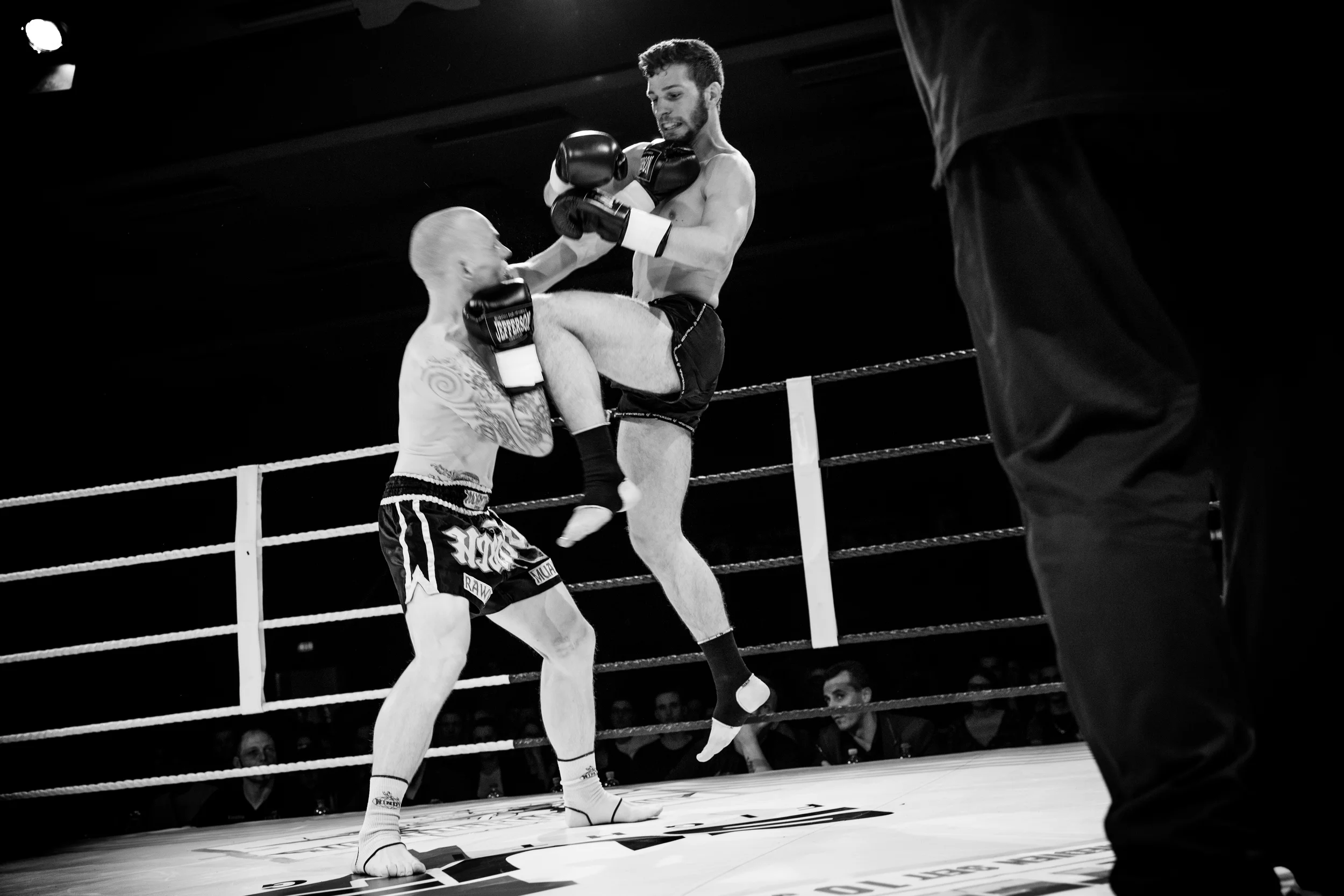 20160611-2A8A7798.jpg