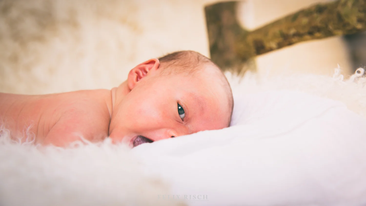 Max_Babyshooting (4 von 53).jpg
