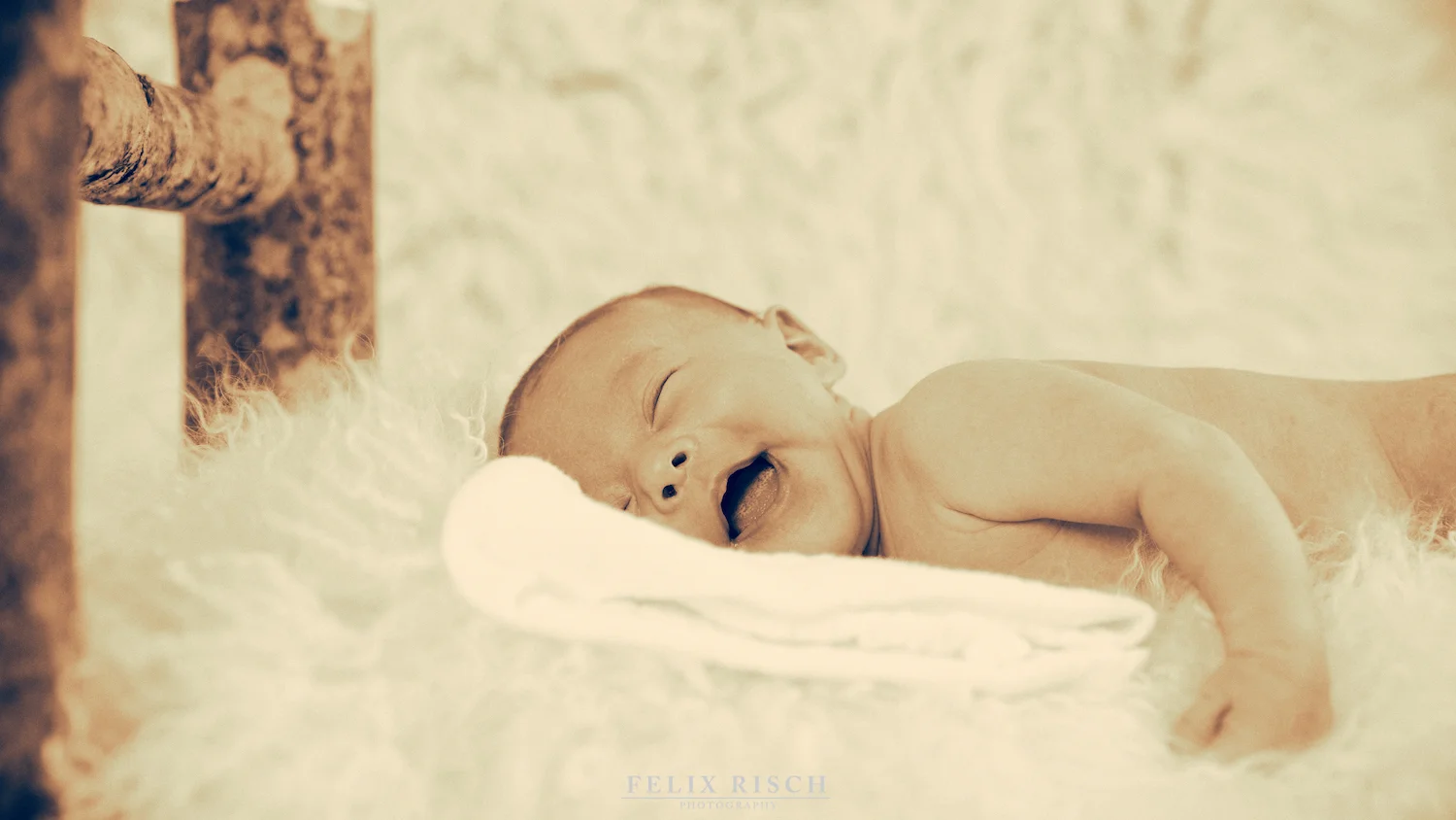 Max_Babyshooting (1 von 53).jpg