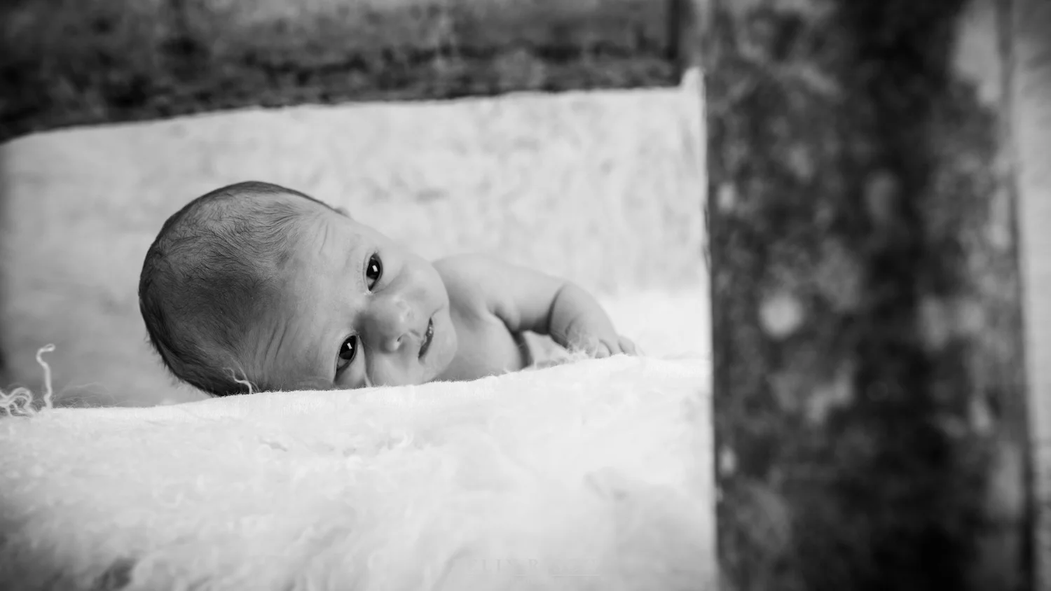 Max_Babyshooting (6 von 53).jpg